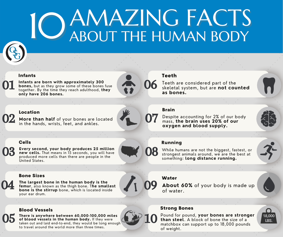 You are currently viewing 15 unknown facts about human body 15 unknown facts about human body