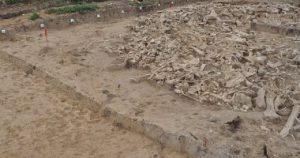 Read more about the article 20 thousand years ago, the world was not coronary!  The big data in the study came to the fore