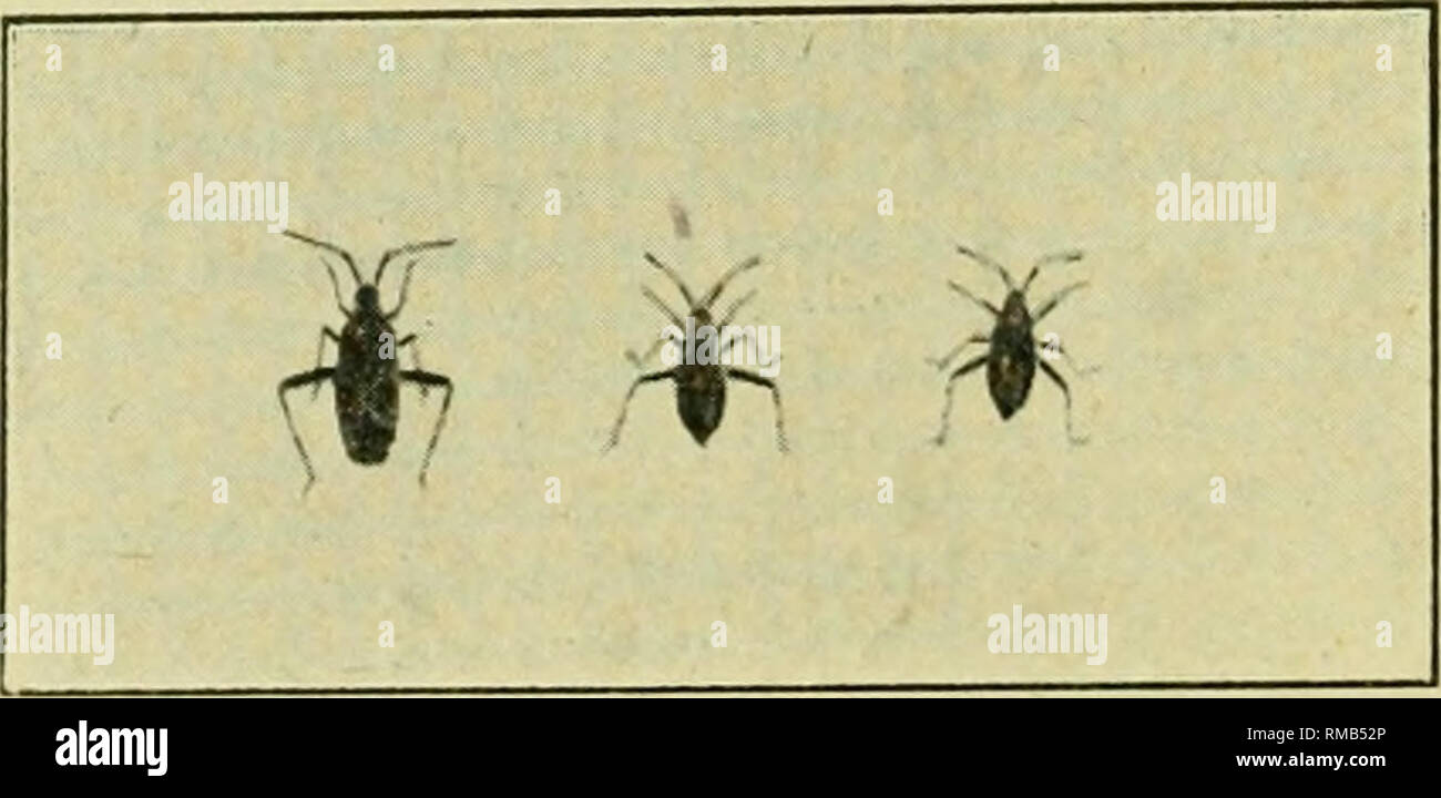 You are currently viewing 4 years of hidden bugs identified on Android: 99% of devices at risk!