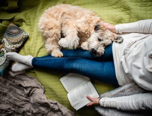 Read more about the article Accustomed to laziness?  Corona can increase the chances of being infected!  Says research