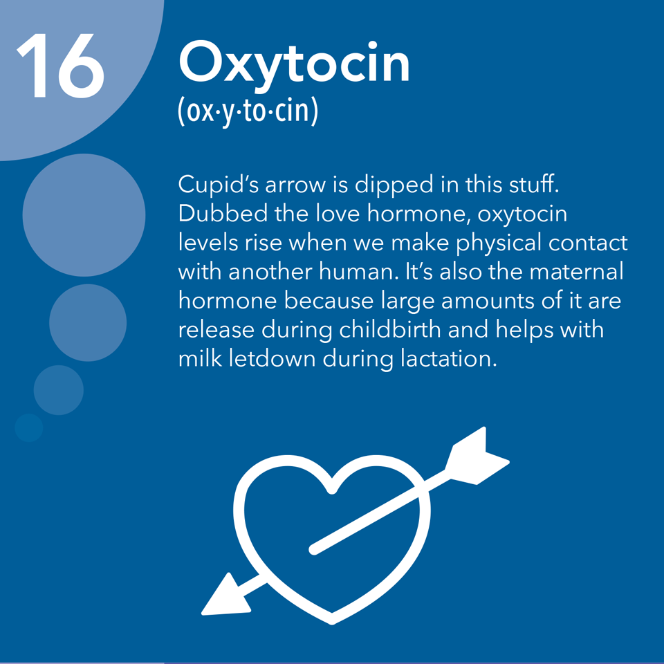 Read more about the article Activate oxytocin hormone to arouse the desires of the body and mind!