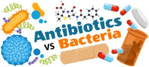 Read more about the article Bacteria and Antibiotics – Fulcrumy Health Tip