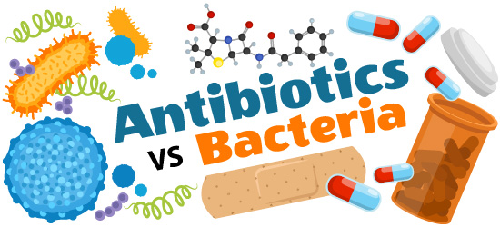 Read more about the article Bacteria and Antibiotics – Fulcrumy Health Tip