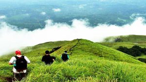 Read more about the article Be sure to know these things before eating green tea – Kolkata24x7