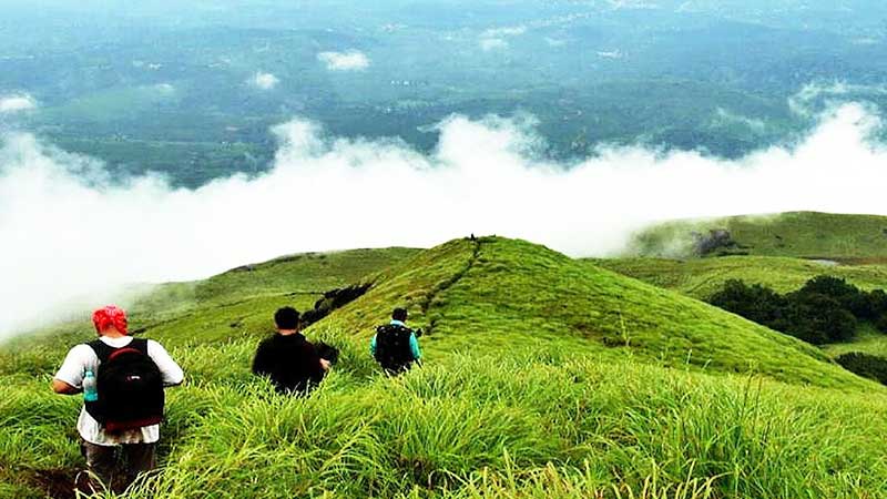 Read more about the article Be sure to know these things before eating green tea – Kolkata24x7