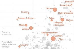 Read more about the article Bearders at risk of corona infection?  What research says – Kolkata24x7
