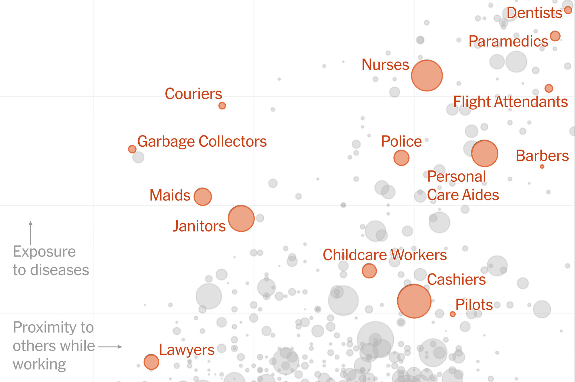 You are currently viewing Bearders at risk of corona infection?  What research says – Kolkata24x7