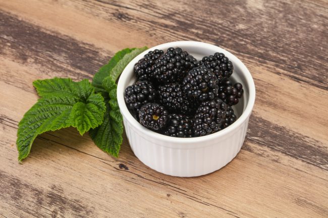 Read more about the article Blackberry seeds, the shield of diabetes, how to use?  Learn.