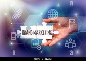 Read more about the article Brano.com holds the record for highest sales in a single day