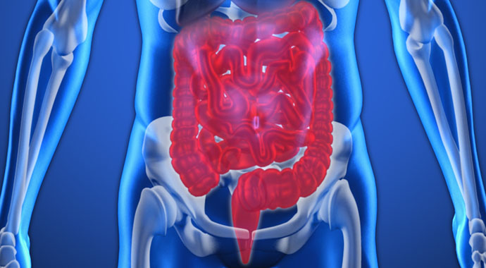 You are currently viewing Coronary digestion problems!  What to do – Fulcrumy Health Tip