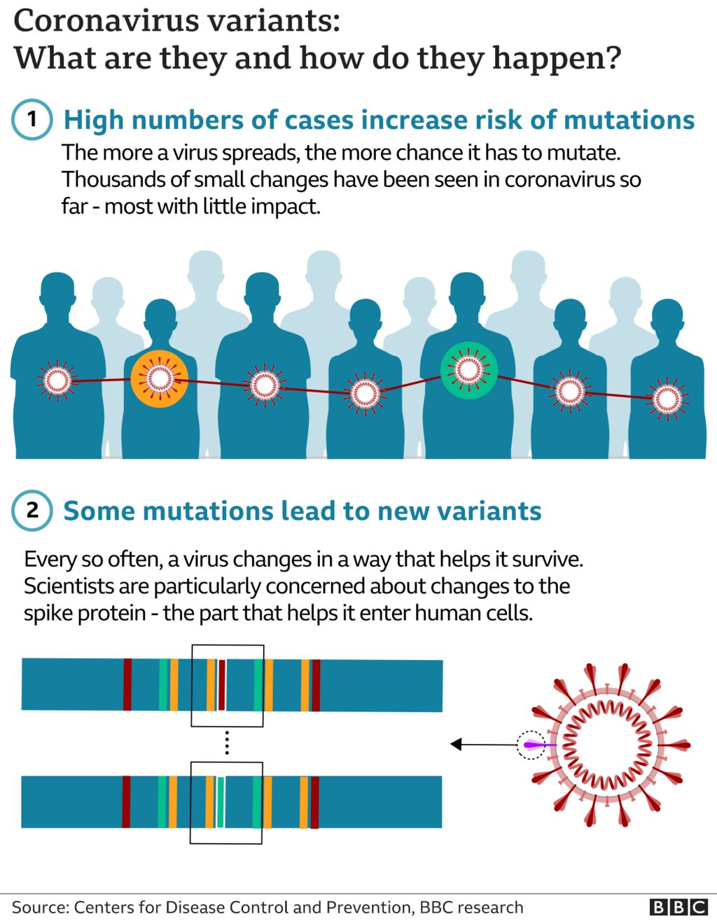You are currently viewing COVID cases raise by some numbers than yesterday – Fulcrumy Health Tip