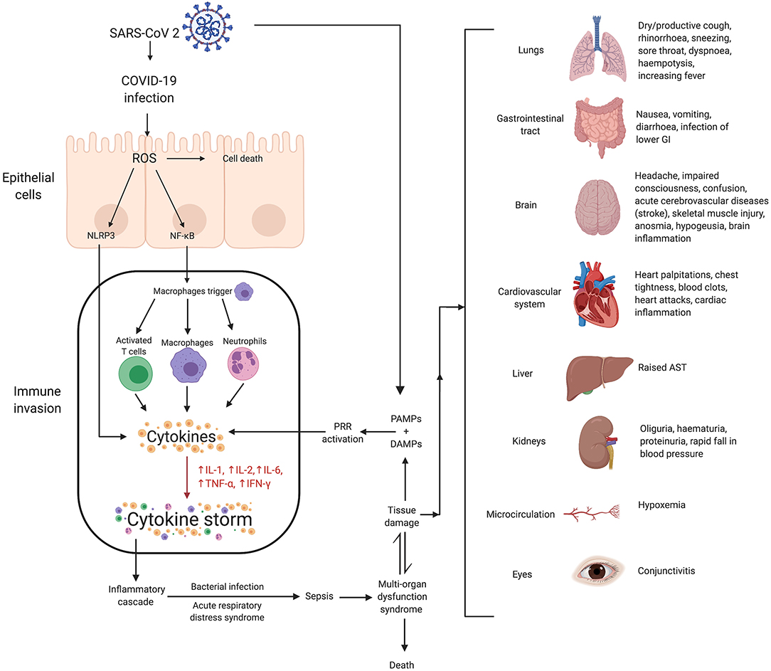 You are currently viewing Cytokine Storm can affect covid patients!  So if symptoms appear, do not ignore