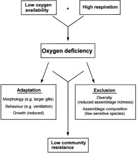 Read more about the article Deficiencies in the oxygen distribution system in the state, identified by the Department of Health