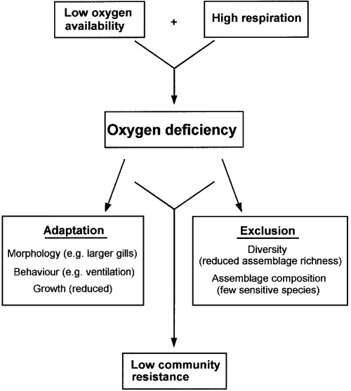 You are currently viewing Deficiencies in the oxygen distribution system in the state, identified by the Department of Health