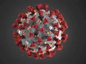 Read more about the article Delta Plus has more connections to lung cells than other species of covid!