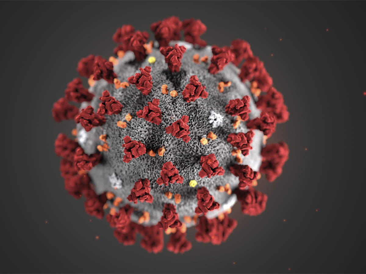 You are currently viewing Delta Plus has more connections to lung cells than other species of covid!