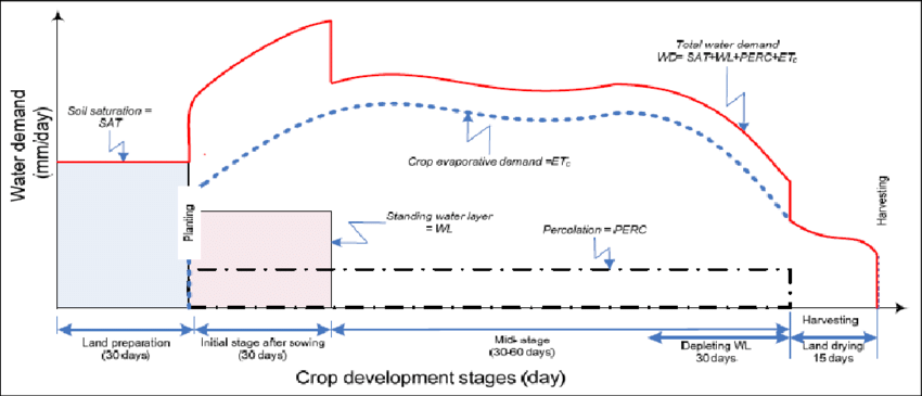 You are currently viewing Demand for Rice Water is increasing in skin care!  Learn the benefits and uses