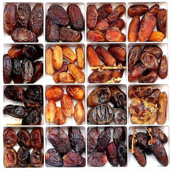 You are currently viewing Different types of dates have different physical properties, find out – Kolkata24x7