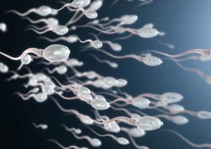 Read more about the article Do not reduce the sperm count to make the body!