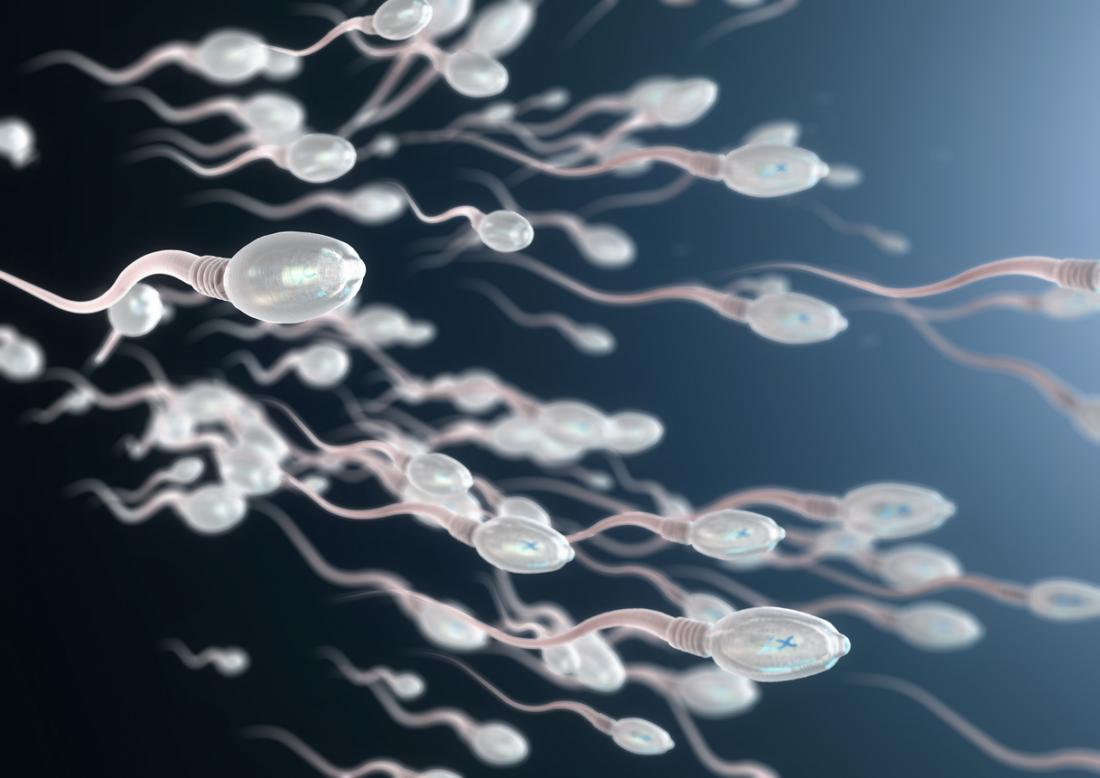 You are currently viewing Do not reduce the sperm count to make the body!
