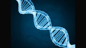 Read more about the article Dubai will store DNA data of 3 million people