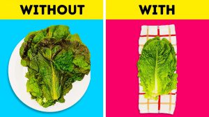 Read more about the article Easy tips to stay fresh – Fulcrumy Health Tip