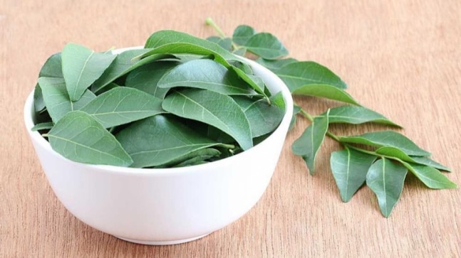 You are currently viewing Eat Basil-Curry Leaf-Honey, Increase Immunity – Kolkata24x7