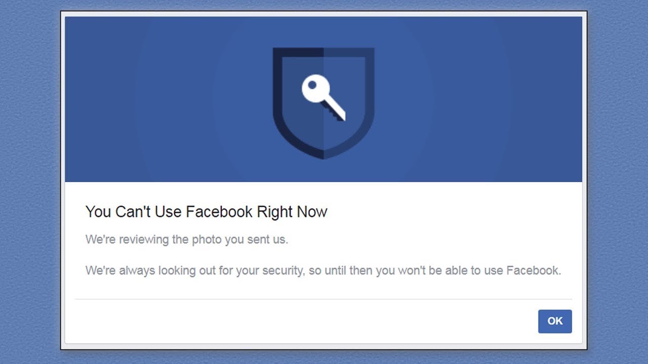 You are currently viewing Facebook will be opened as soon as the green signal is received: Junaid Ahmed Palak