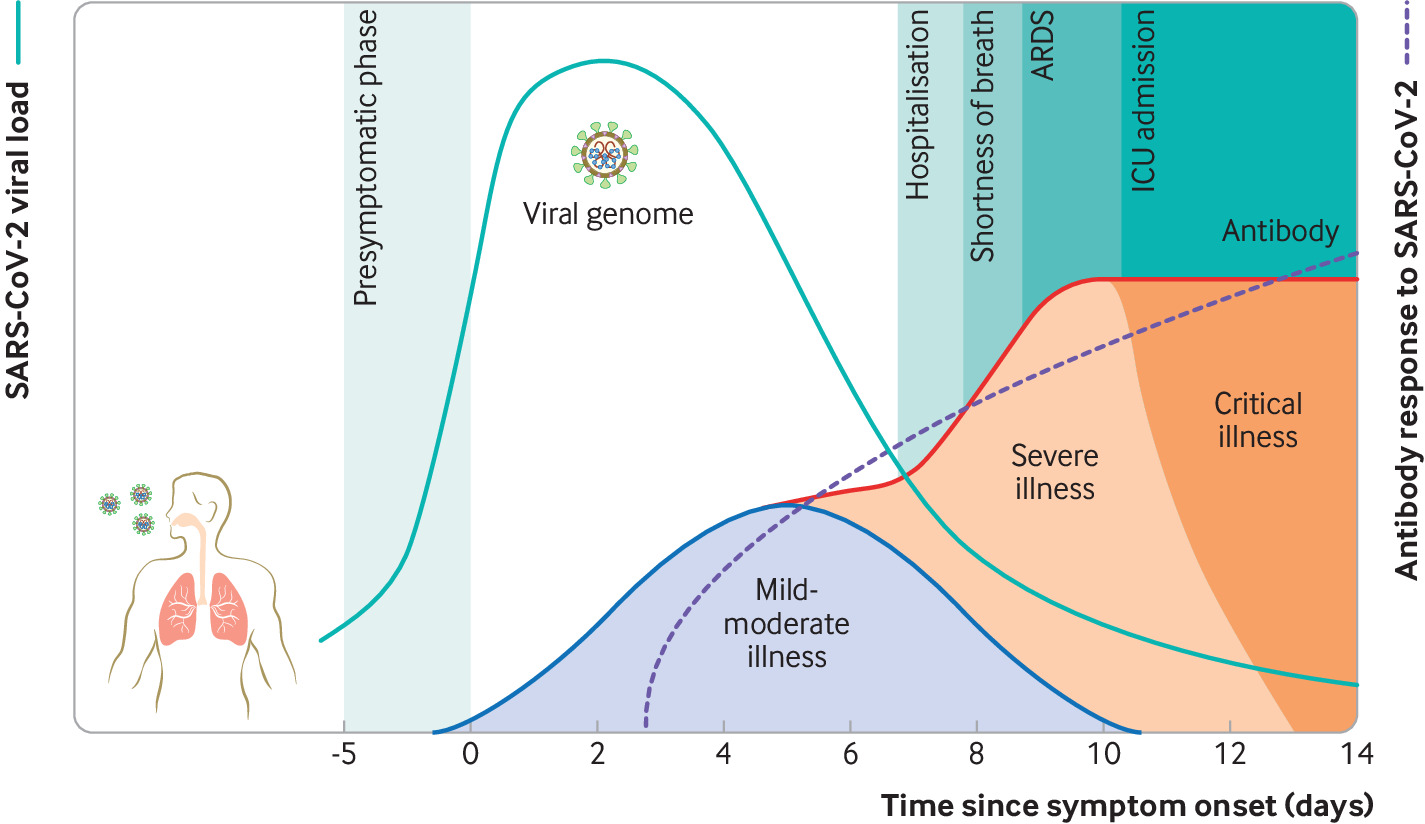 You are currently viewing Forgetting these few mild infections of corona becomes harmful!