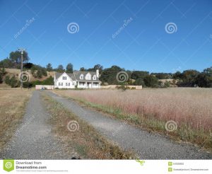 Read more about the article From long drives to house parties, the way couples fall in love according to social distance rules