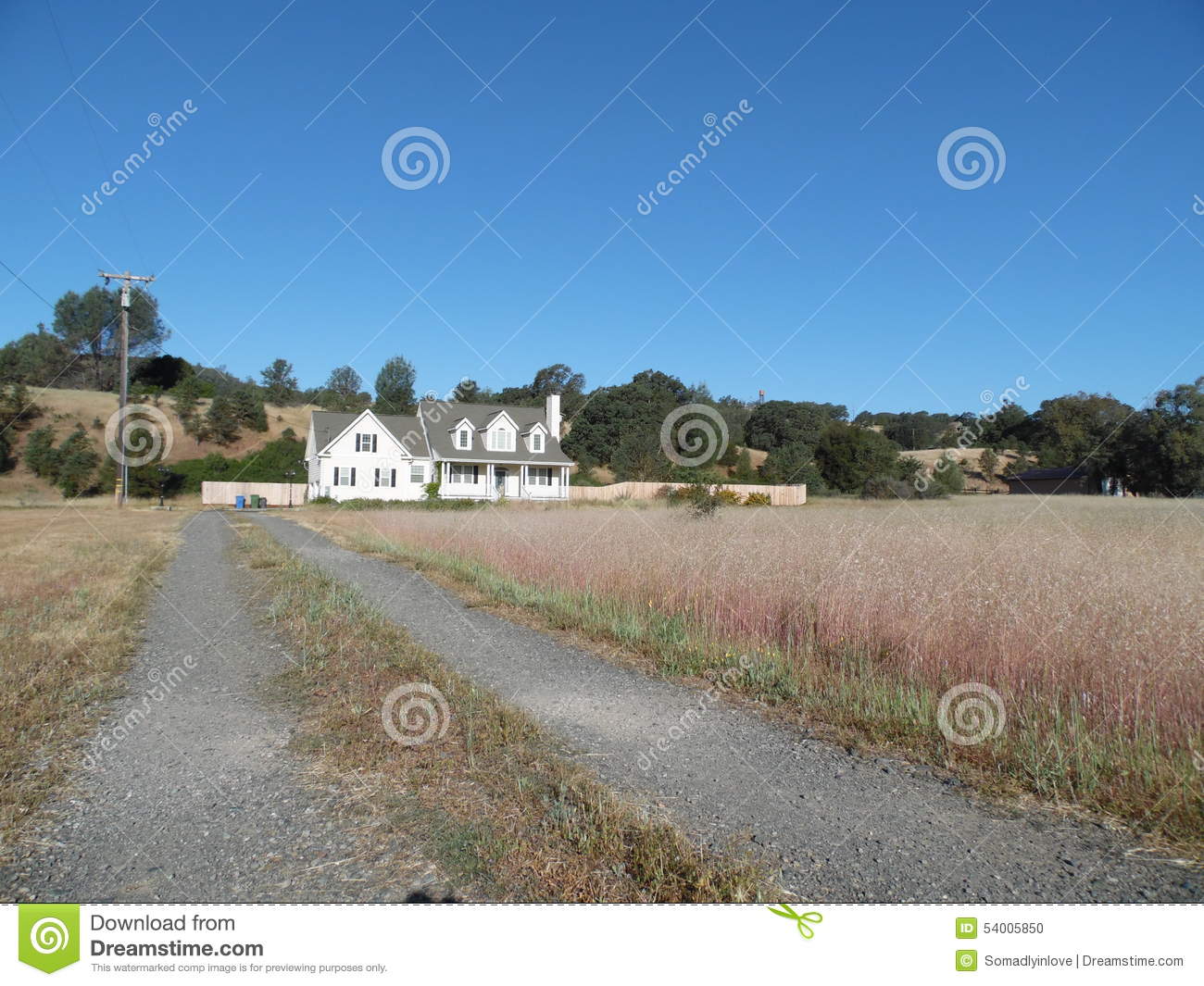 You are currently viewing From long drives to house parties, the way couples fall in love according to social distance rules