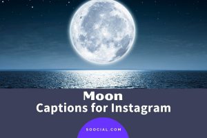 Read more about the article Fruitful new moon today, put fruit custard on the leaves at the end of fasting!