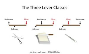 Read more about the article Fulcrumy Health Tip – 7 types of light food