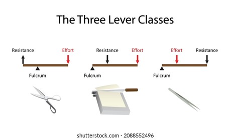 You are currently viewing Fulcrumy Health Tip – 7 types of light food