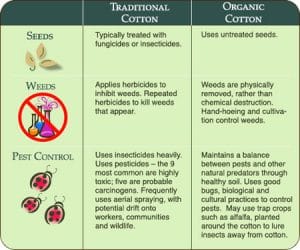 Read more about the article Get rid of the chemical effects of hair cosmetics in no time –