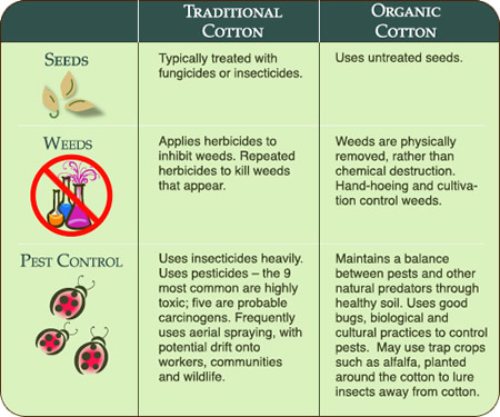 You are currently viewing Get rid of the chemical effects of hair cosmetics in no time –