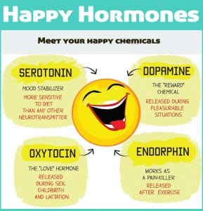 Read more about the article Happy Hormone Increased Happiness – DesheBideshe – Fulcrumy Health Tip