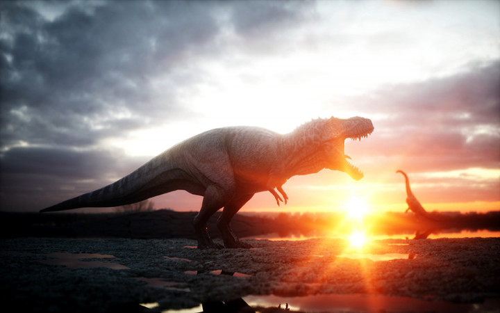 You are currently viewing How did dinosaurs become extinct?  – Fulcrumy.com