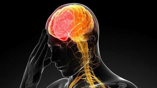 You are currently viewing Human-brain cells effective in increasing the efficiency of rats!