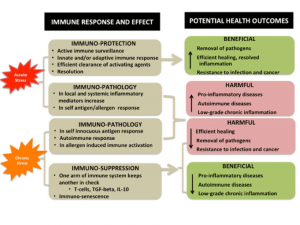 Read more about the article Immunity will increase, stress will decrease, if you eat this Ayurveda tip every day!