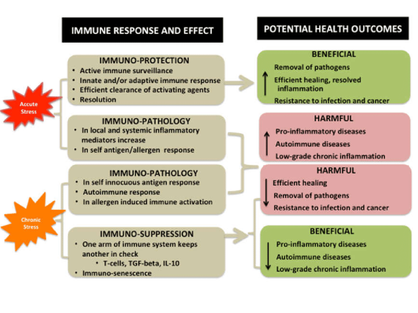You are currently viewing Immunity will increase, stress will decrease, if you eat this Ayurveda tip every day!