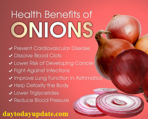 Read more about the article Increase resistance, eat raw onions every day in the heat!  – Fulcrumy Health Tip
