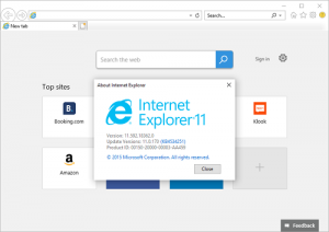Read more about the article Internet Explorer 11 will come with the Windows Blue update