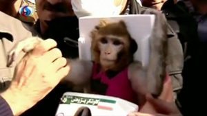 Read more about the article Iran successfully sends monkeys into space for second time