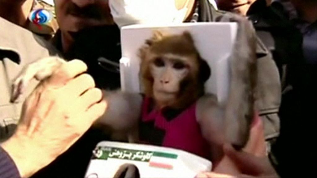 You are currently viewing Iran successfully sends monkeys into space for second time