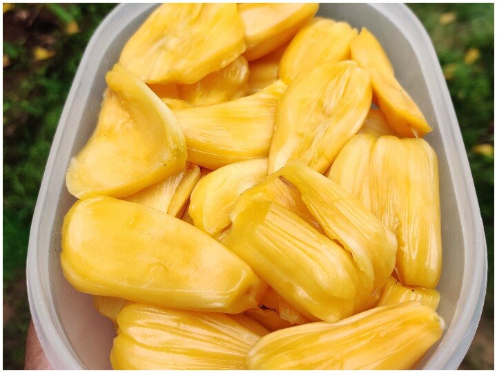 You are currently viewing Jackfruit seeds increase immunity – Kolkata24x7 – Fulcrumy Health Tip
