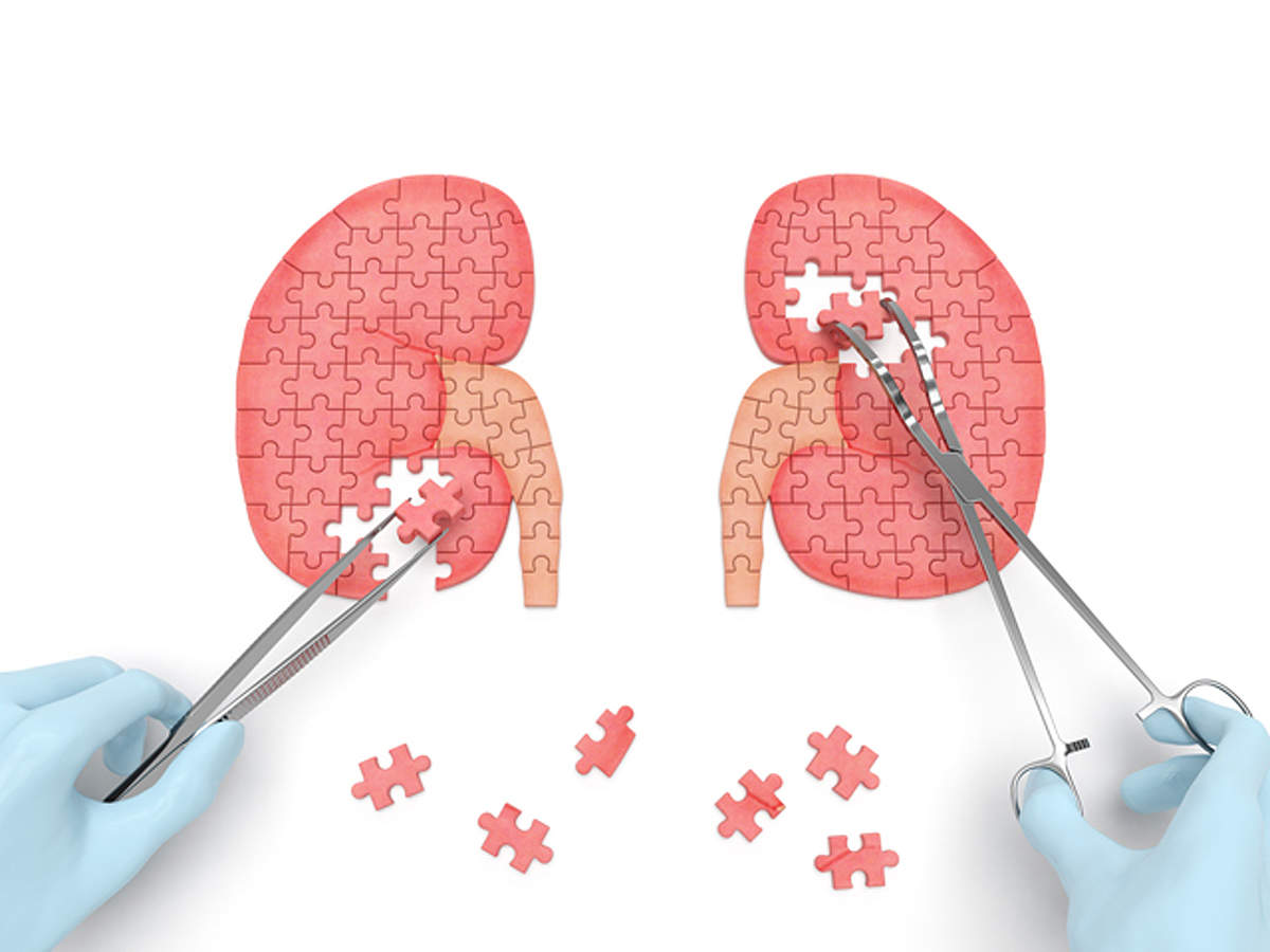 Read more about the article Kidney damage from sugary drinks – Fulcrumy Health Tip