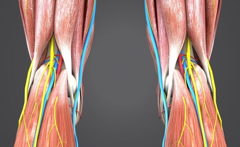 You are currently viewing Knee, back pain?  Take a look at the infallible way