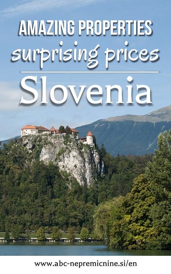 Read more about the article Learn about the amazing properties of Trifle, not just immunity