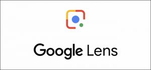 Read more about the article Let’s see the Google search trend of 2013